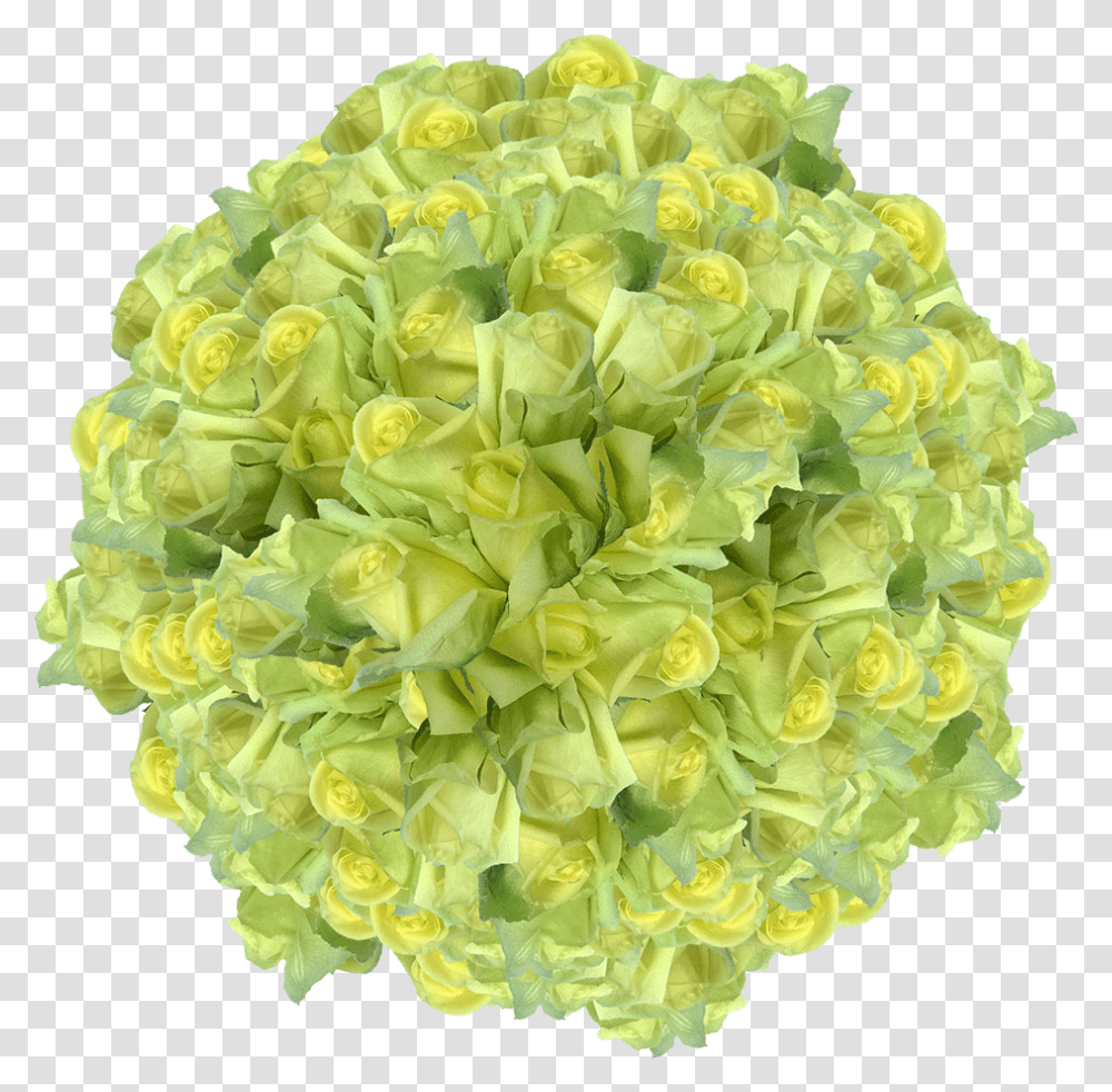 Light Green Color Rose Flowers Bulk Sale Special Real Artificial Flower, Floral Design, Pattern, Plant Transparent Png