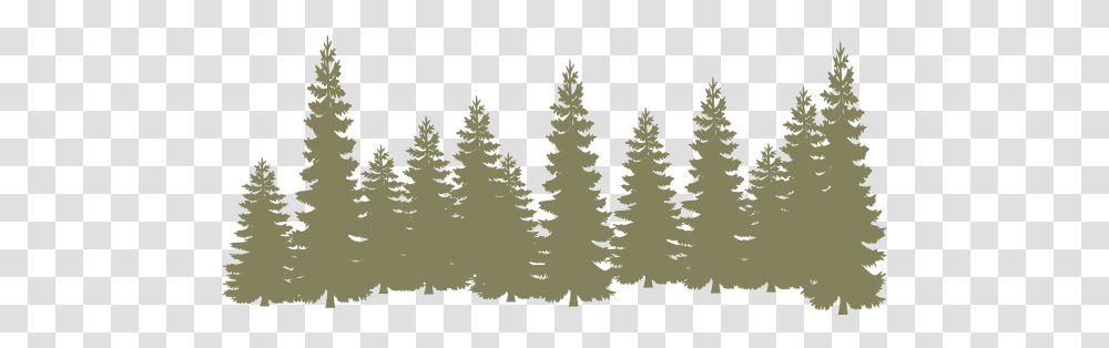 Light Green Forrest Clip Art Pine Tree Silhouette, Plant, Fir, Abies, Conifer Transparent Png