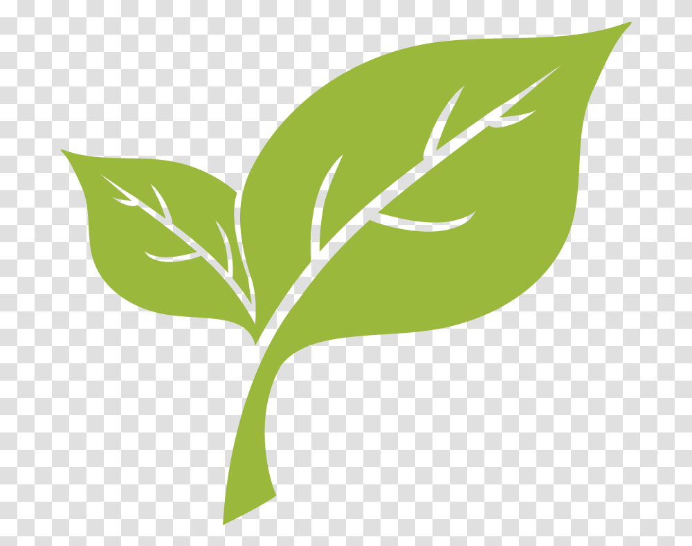 Light Green Leaf, Plant, Seed, Grain, Produce Transparent Png