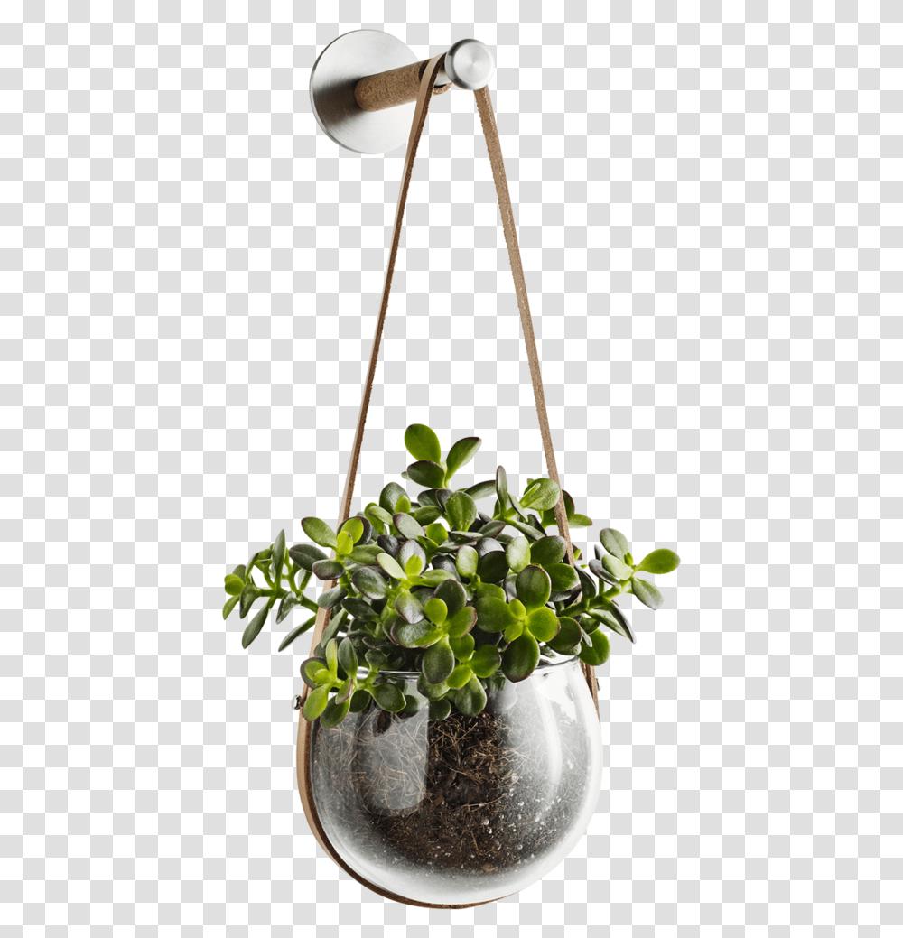 Light Hanging Pot And Peg Hanging Flower Pot, Plant, Potted Plant, Vase, Jar Transparent Png