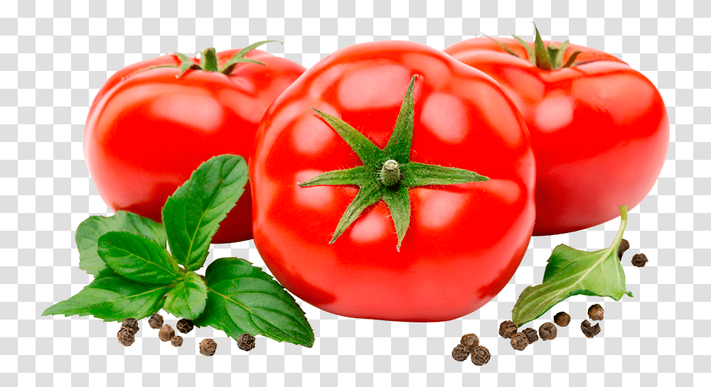 Light Ketchup, Plant, Vegetable, Food, Tomato Transparent Png