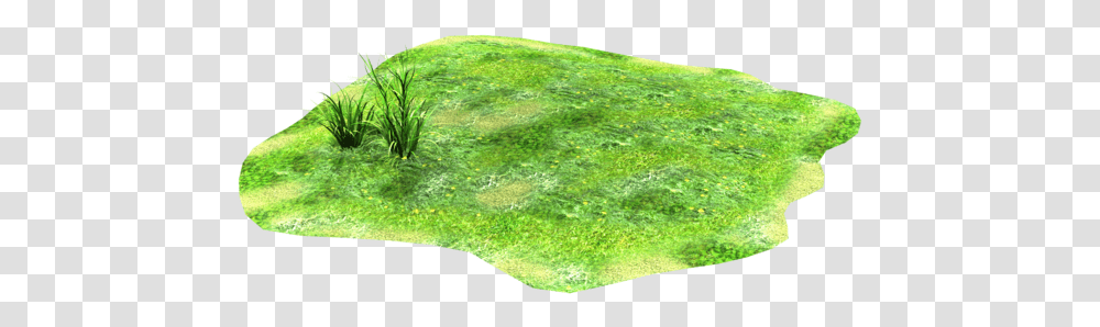 Light Patch Of Stock Grass By Madetobeunique On, Moss, Plant, Algae, Rock Transparent Png