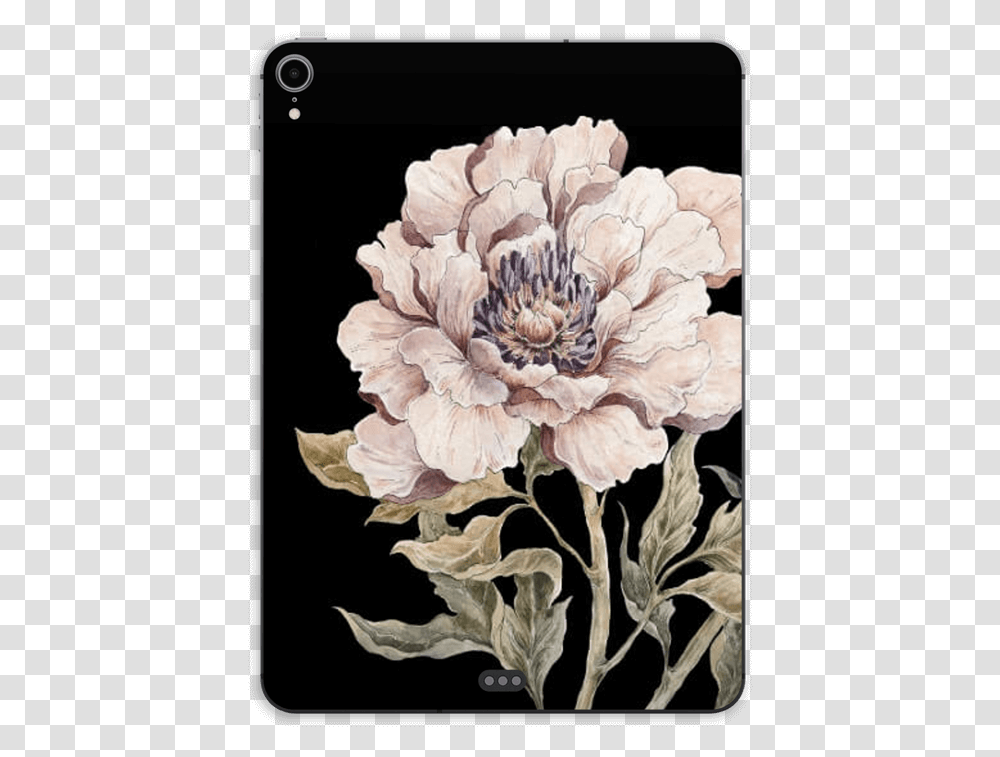 Light Pink Peony Skin Ipad Pro 11 Chrysanths, Floral Design, Pattern Transparent Png