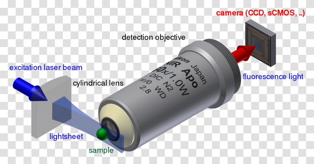 Light Sheet Fluorescence Microscopy Wikipedia Lichtscheibenmikroskopie, Flashlight, Lamp Transparent Png