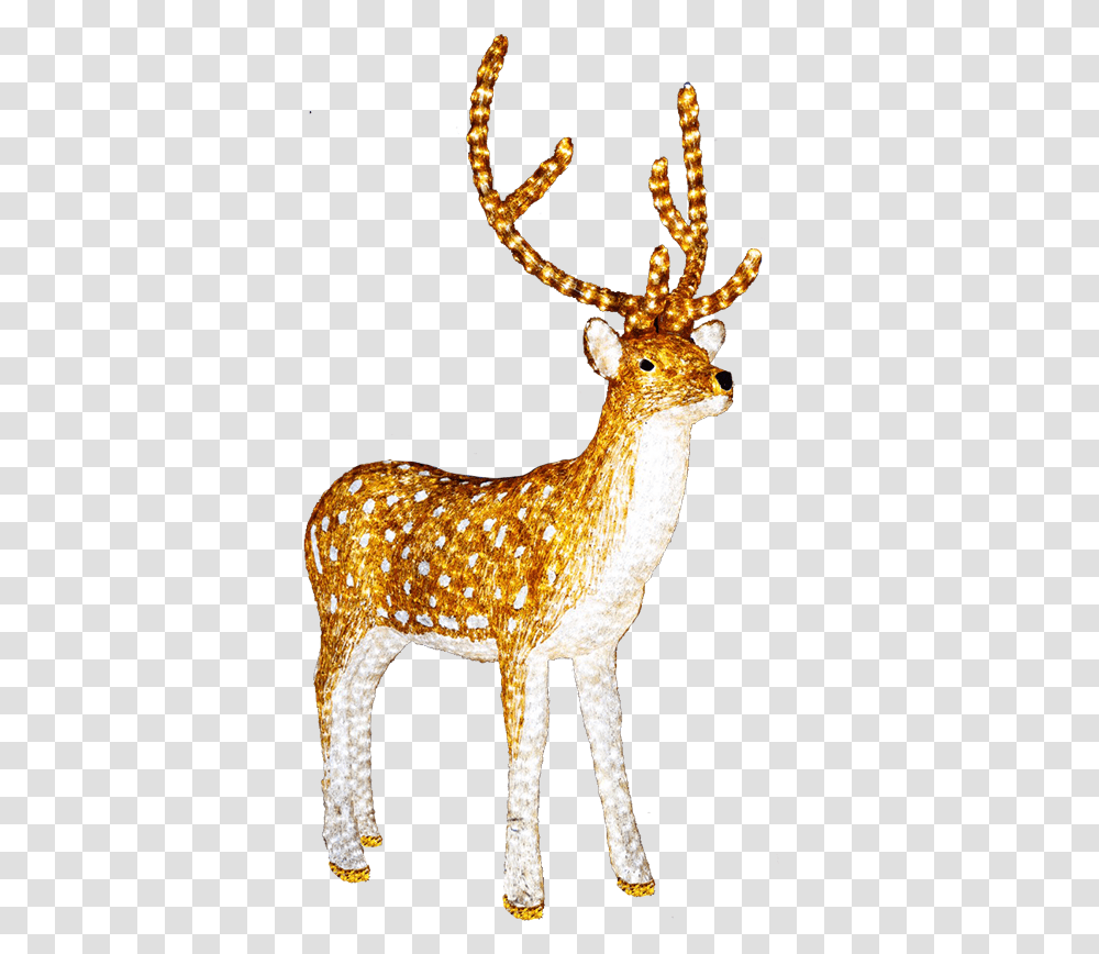 Light Up Reindeer, Wildlife, Mammal, Animal, Antelope Transparent Png