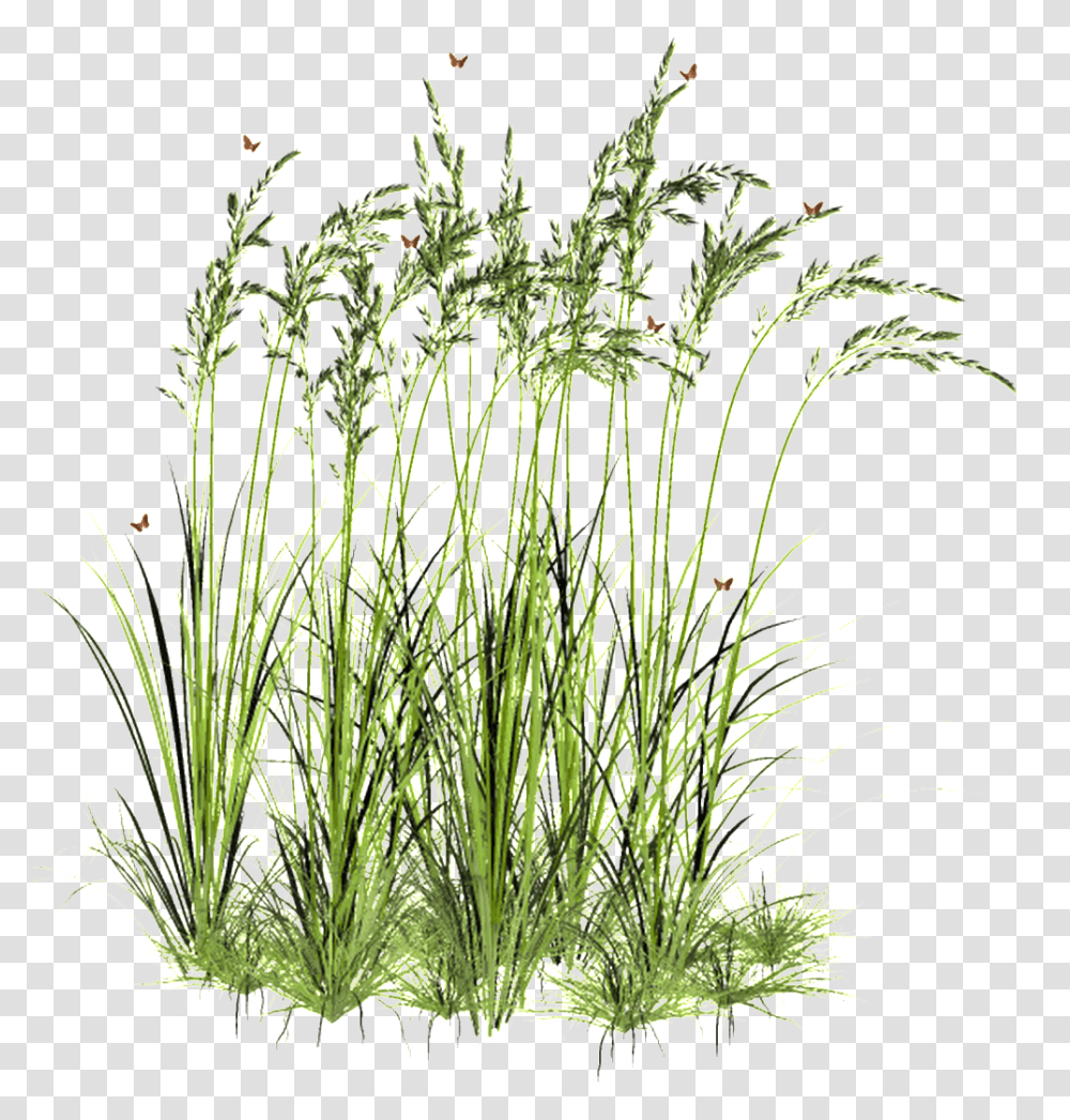 Light Wheat Field Decorative Plants Cut Out, Bush, Vegetation, Flower, Food Transparent Png