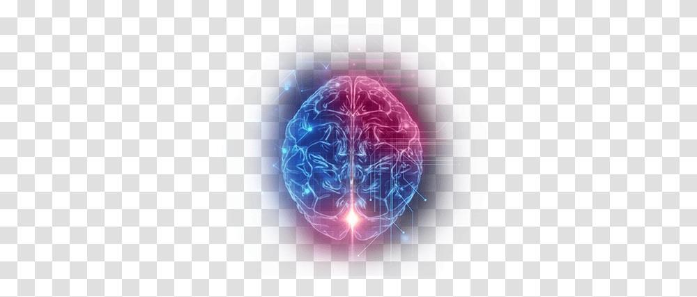 Lightelligence Human Brain, Lamp, Sea Life, Animal, Pattern Transparent Png