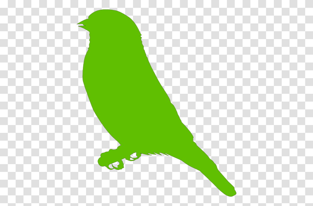 Lighter Green Bird Clip Art, Animal, Finch, Jay, Canary Transparent Png