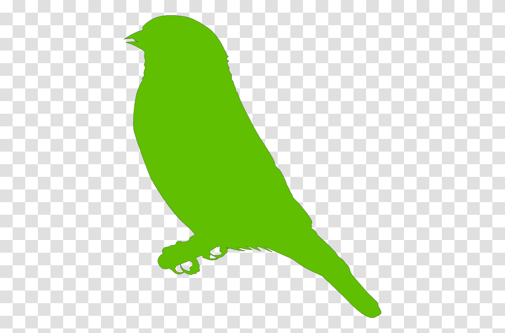 Lighter Green Bird Clipart For Web, Animal, Finch, Jay, Canary Transparent Png