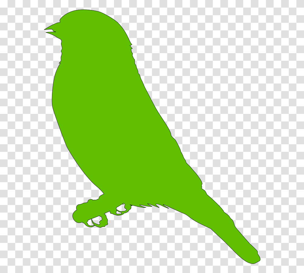 Lighter Green Bird Svg Clip Art For Web Download Clip Mountain Bluebird, Animal, Person, Human, Finch Transparent Png