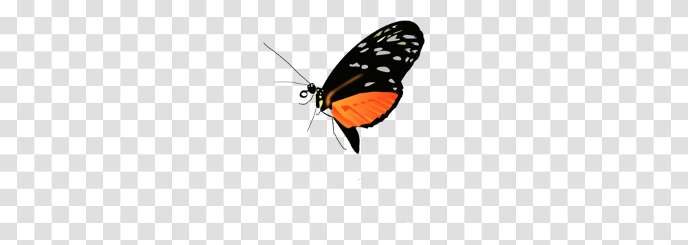 Lighter Orange Black Butterfly Clip Art, Insect, Invertebrate, Animal, Monarch Transparent Png