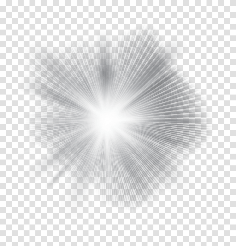 Lighting Design 1 Image Illustration, Fungus, Petal, Flower, Plant Transparent Png