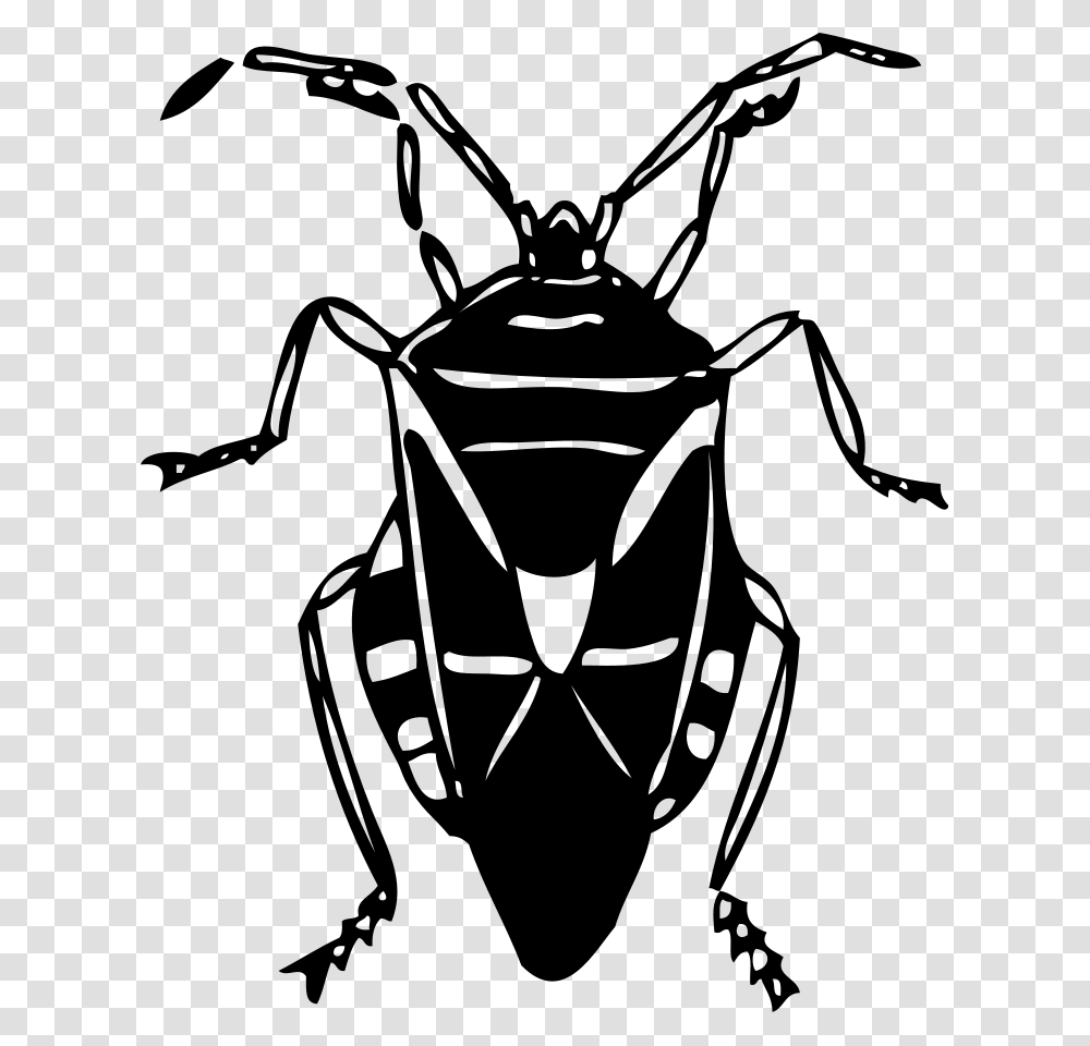 Lightning Bug Buddy Clipart Vector Clip Art Online Free Clipart Black And White Bug, Gray Transparent Png