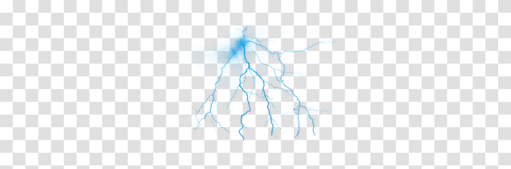 Lightning, Nature, Sea Life, Animal, Invertebrate Transparent Png