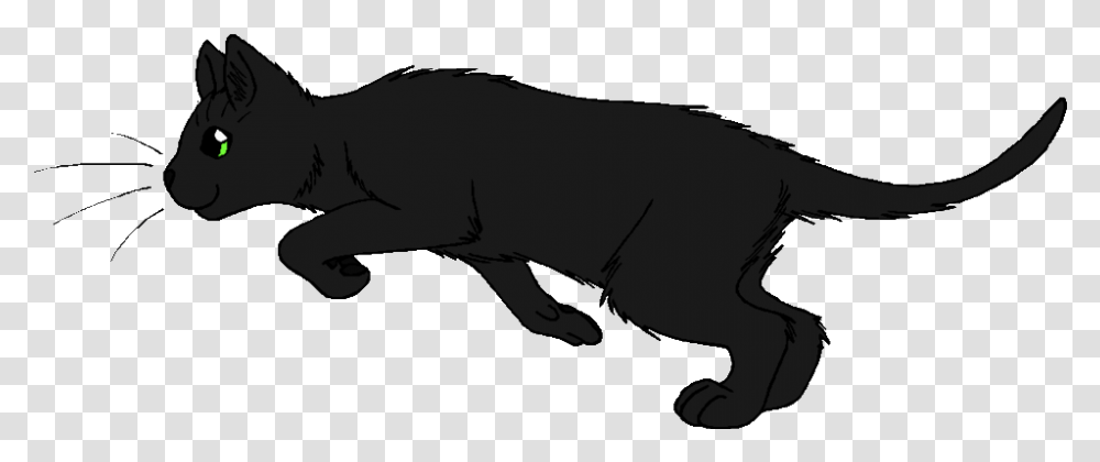 Lightningtail Ravenwing Warrior Cats, Animal, Mammal, Wildlife, Horse Transparent Png