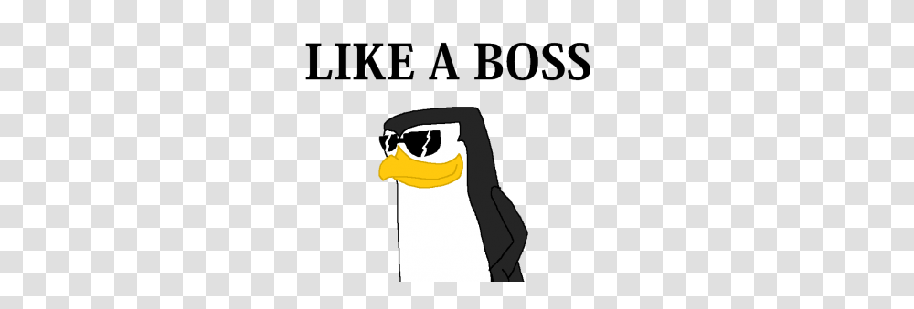 Like A Boss Clipart Like A Boss Clip Art Images, Sunglasses, Accessories, Accessory, Bird Transparent Png