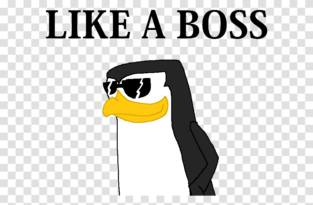 Like A Boss Pic, Sunglasses, Bird, Animal Transparent Png