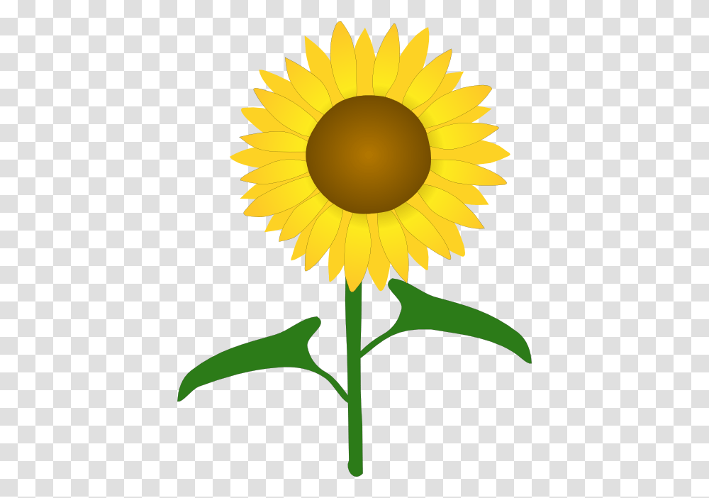 Like A Sunflower Quotes, Plant, Blossom Transparent Png