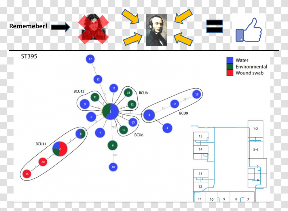 Like, Person, Human, Network, Diagram Transparent Png