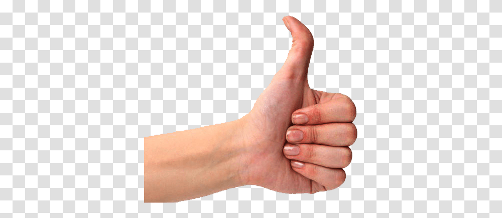 Like, Person, Human, Thumbs Up Transparent Png