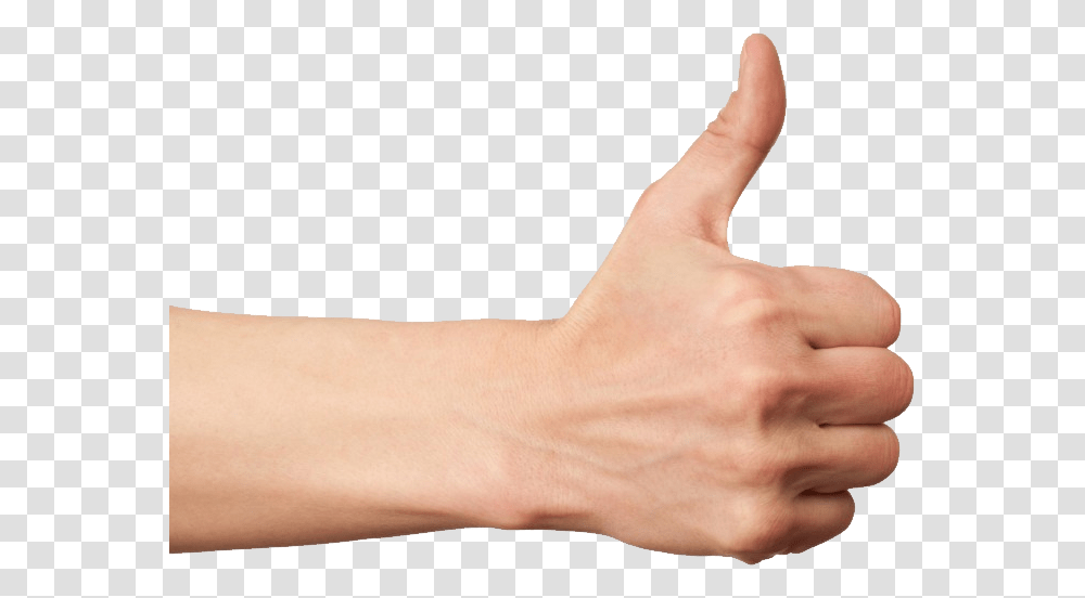 Like, Person, Human, Thumbs Up Transparent Png