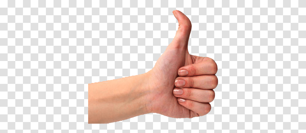 Like Thumb, Person, Human, Thumbs Up, Finger Transparent Png