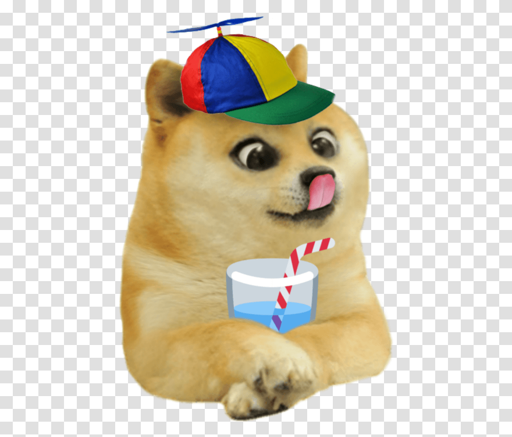 Lil Doge With His Water, Apparel, Mammal, Animal Transparent Png