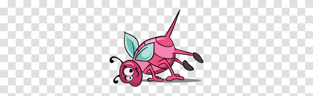 Lil Flippers Gymnastics, Insect, Invertebrate, Animal, Cricket Insect Transparent Png
