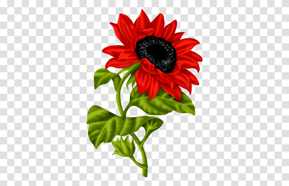 Lil Ladybug Yandex Disk Planter Ideas Ladybug, Flower, Blossom, Sunflower, Daisy Transparent Png