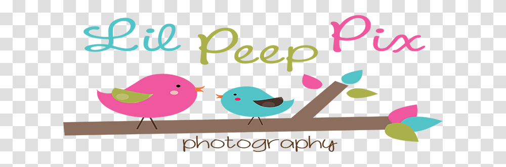 Lil Peep Pix Competitors Revenue And Employees, Outdoors, Nature, Animal, Plot Transparent Png