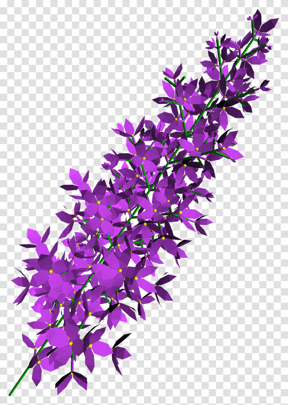 Lilac, Flower, Confetti, Paper Transparent Png