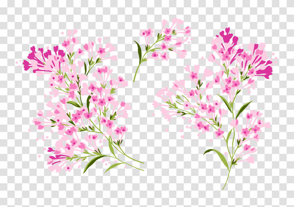 Lilac, Flower, Floral Design Transparent Png