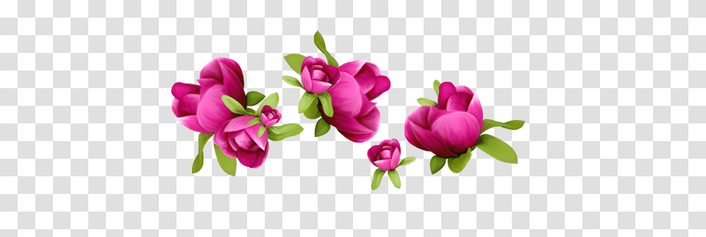 Lilac, Flower, Plant, Blossom, Gift Transparent Png