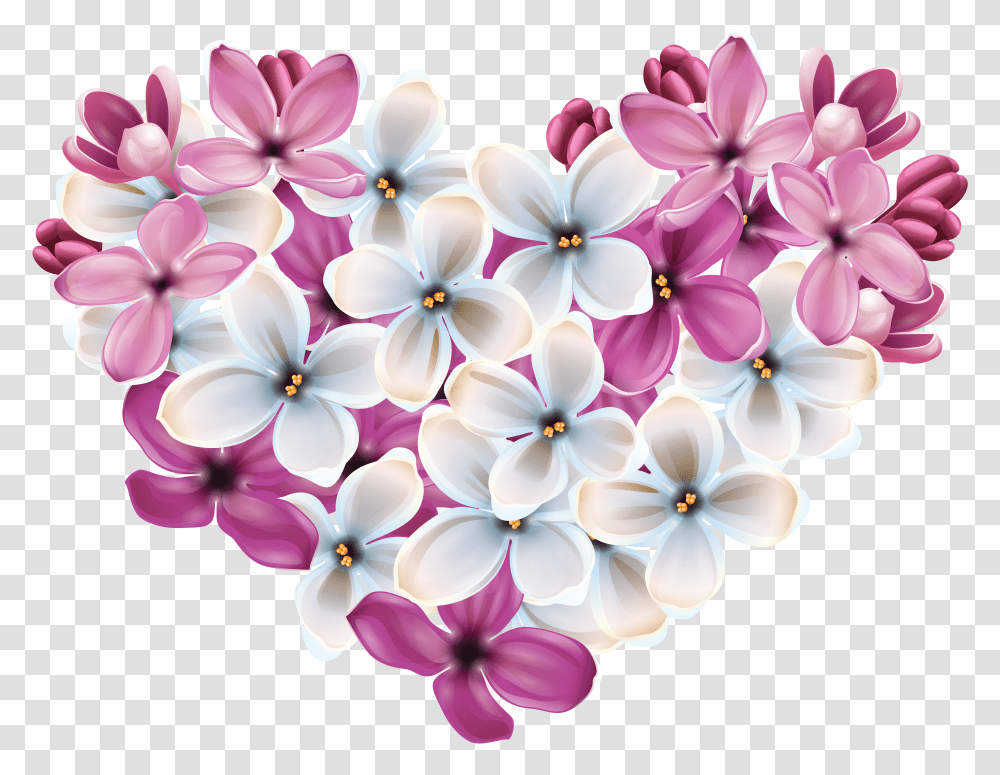 Lilac, Flower Transparent Png