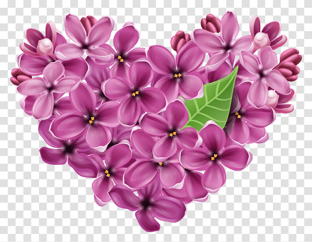 Lilac, Flower Transparent Png