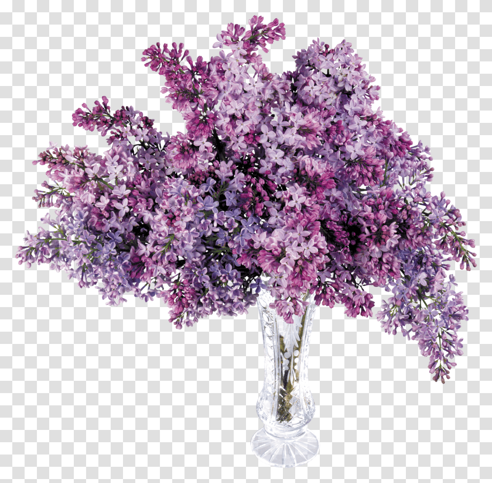 Lilac, Flower Transparent Png