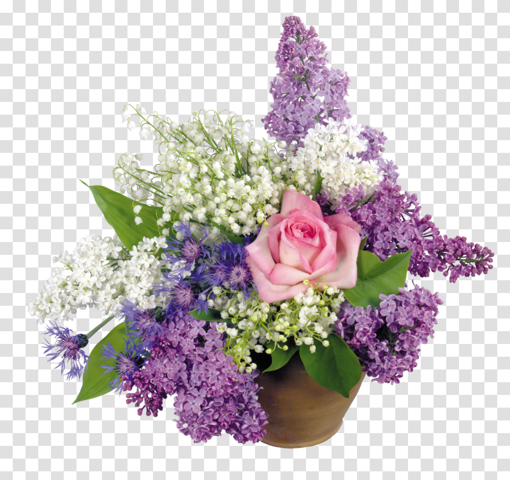 Lilac, Flower Transparent Png