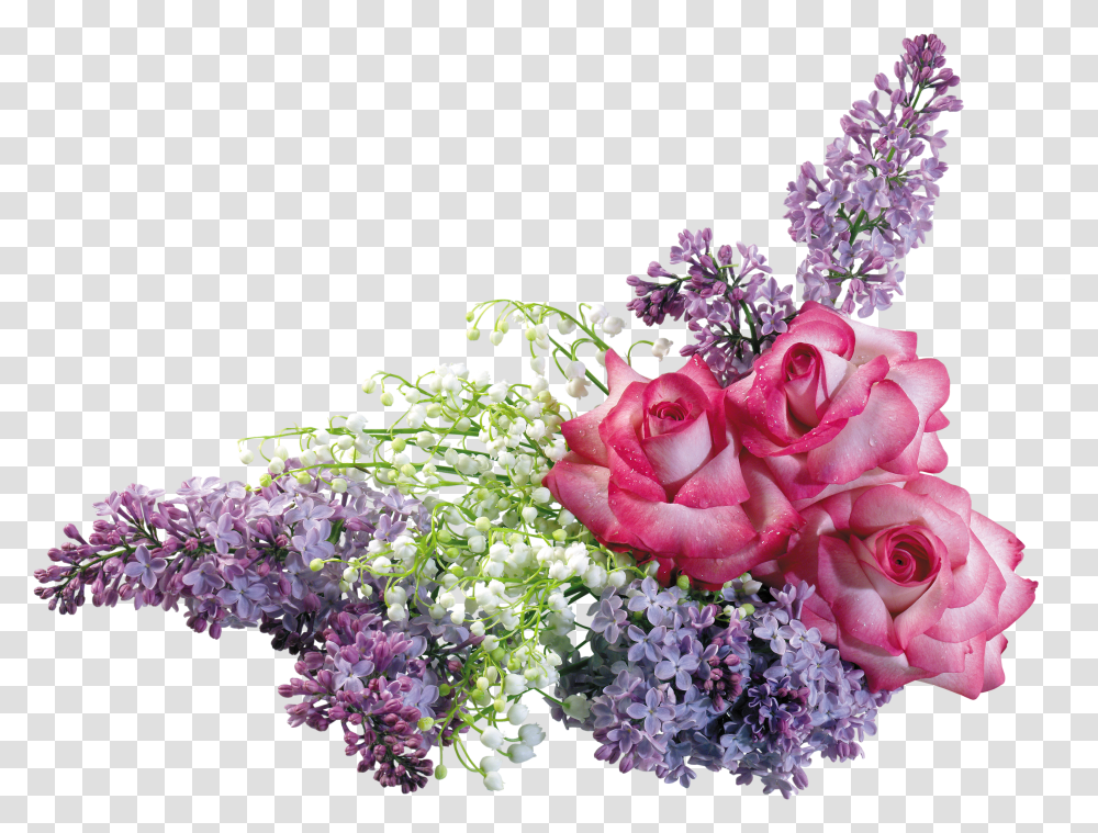 Lilac, Flower Transparent Png