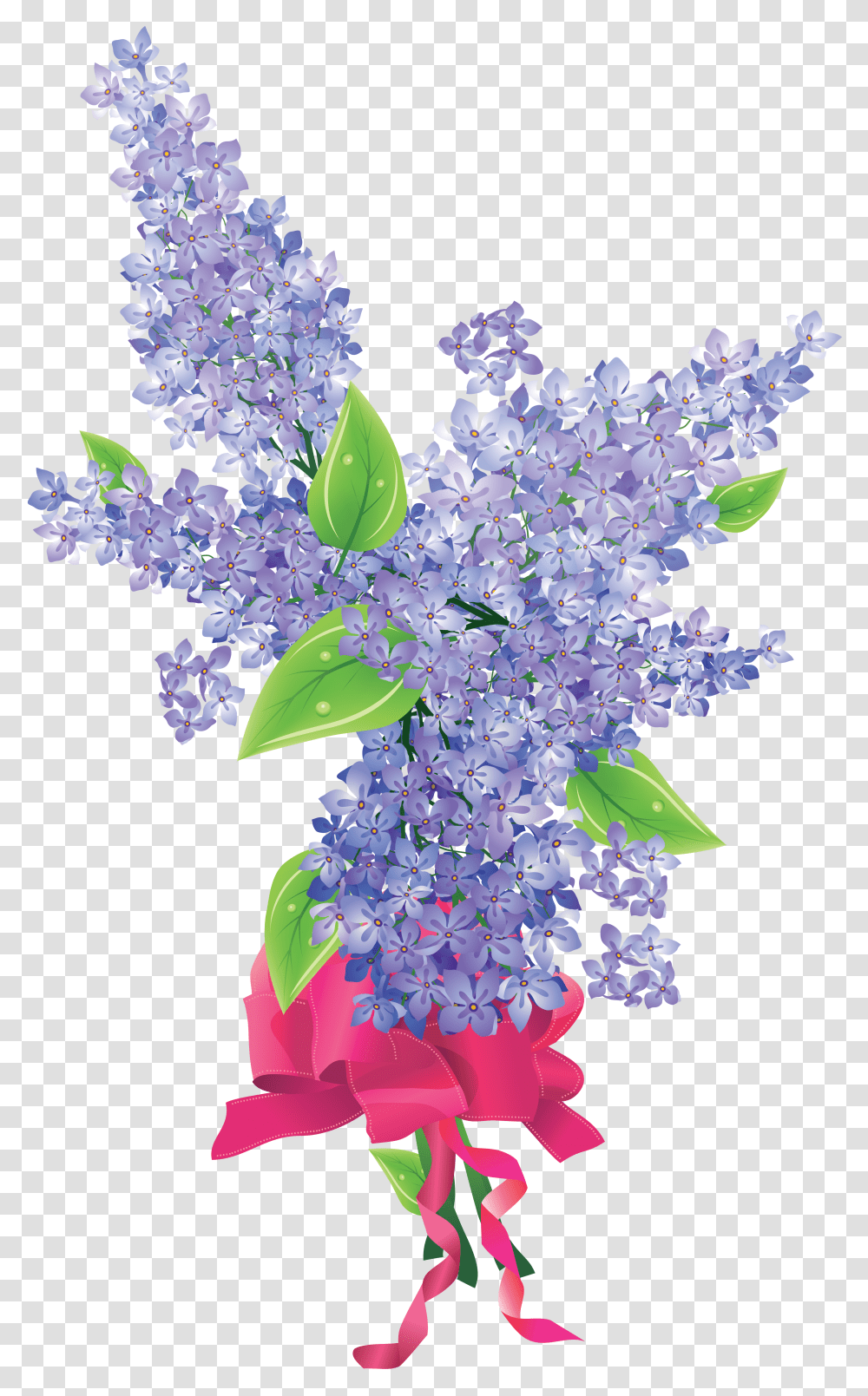 Lilac, Flower Transparent Png