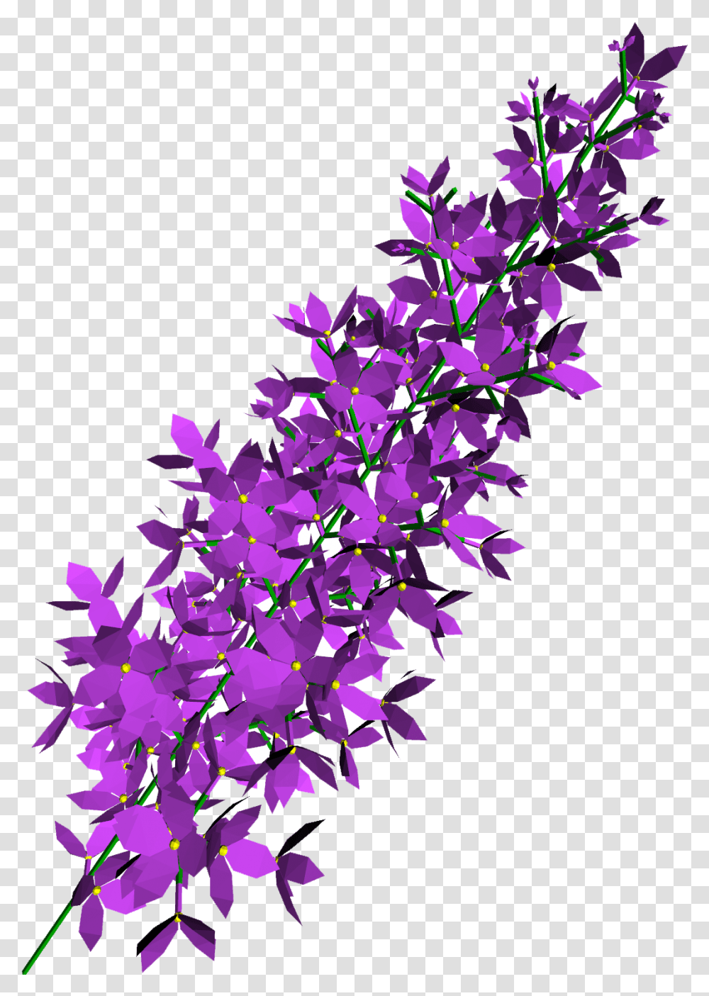 Lilac Flowers Images Free Download Vector Lavender Flower, Ornament, Pattern, Purple, Graphics Transparent Png