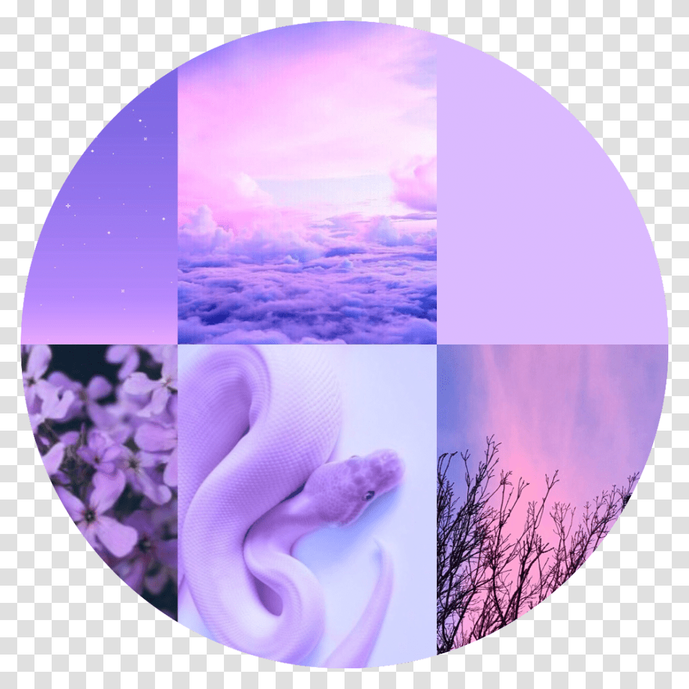 Lilac Pastel Purple Aesthetic Background Freetoedit Pastel Purple Aesthetic Background, Outdoors, Nature, Collage, Poster Transparent Png