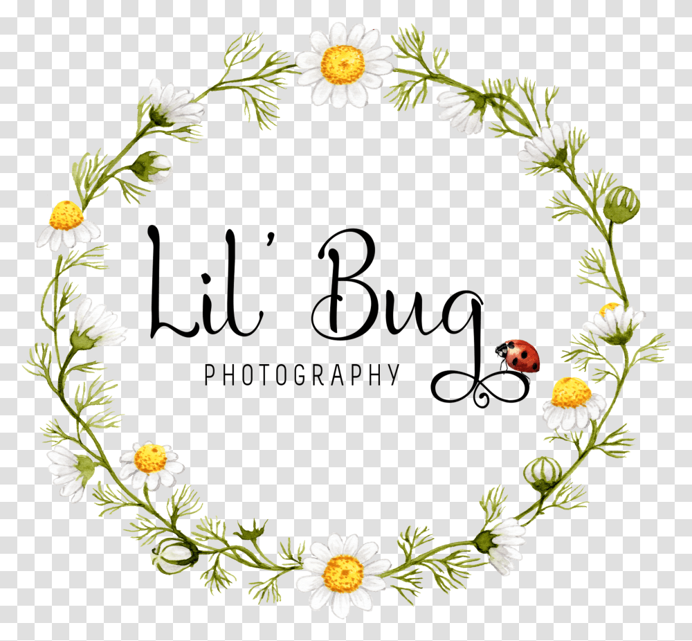 Lilbugfloral Bee Kind Wall Art, Floral Design, Pattern, Wreath Transparent Png