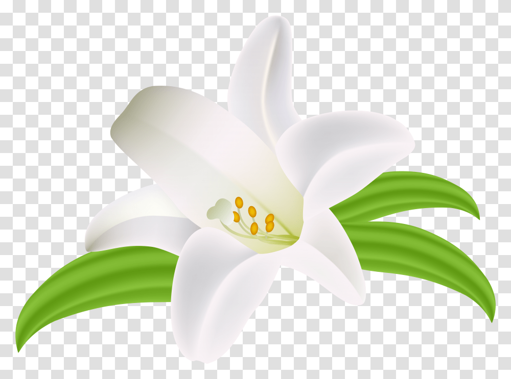 Lilium Flower Clipart Image Patrones De Bordado Portable Network Graphics, Plant, Blossom, Lily, Petal Transparent Png