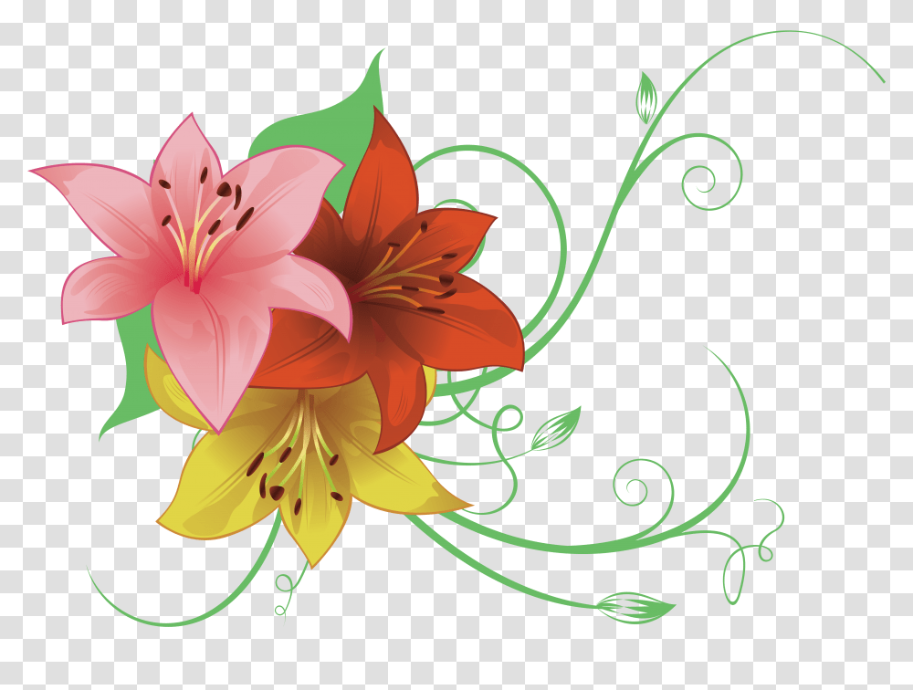 Lilium, Flower, Plant Transparent Png