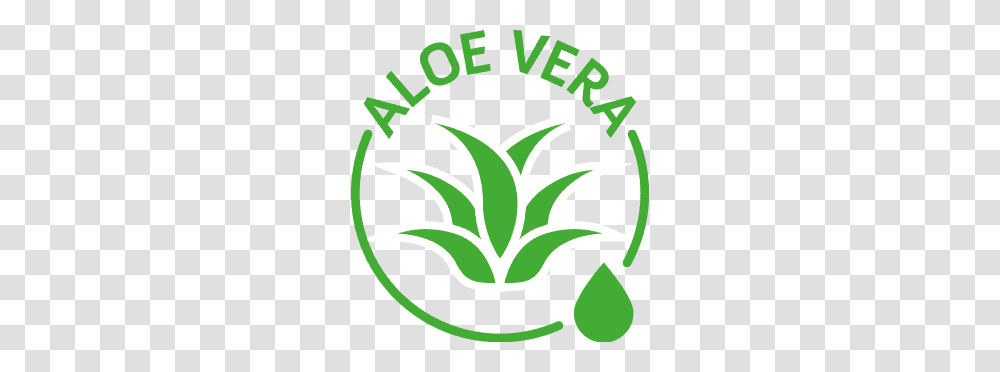 Lille Healthcare Aloe Vera Green, Floral Design, Pattern Transparent Png