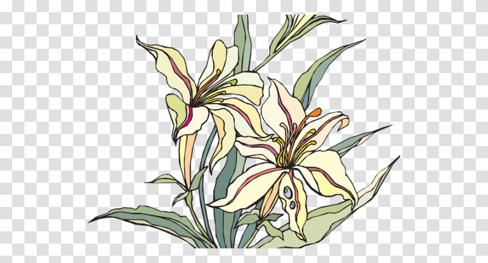 Lillies Clipart Clip Art, Plant, Floral Design, Pattern Transparent Png