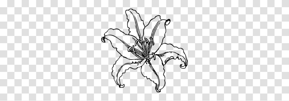 Lilly Clip Art, Gray, World Of Warcraft Transparent Png