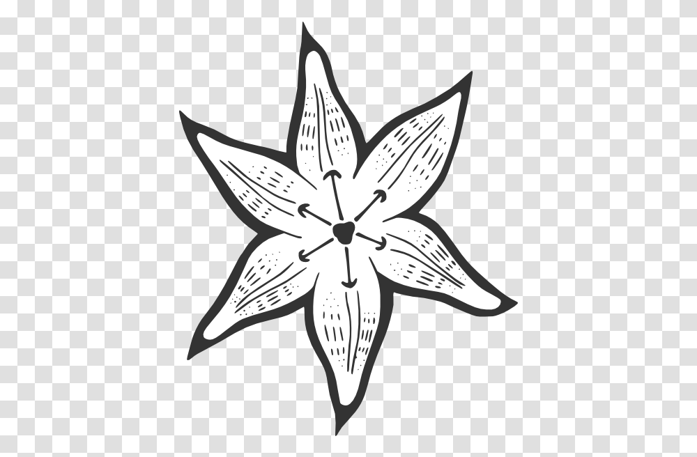 Lilly Flower Outline Clip Arts For Bmp Format Images Download, Plant, Pattern, Star Symbol, Blossom Transparent Png