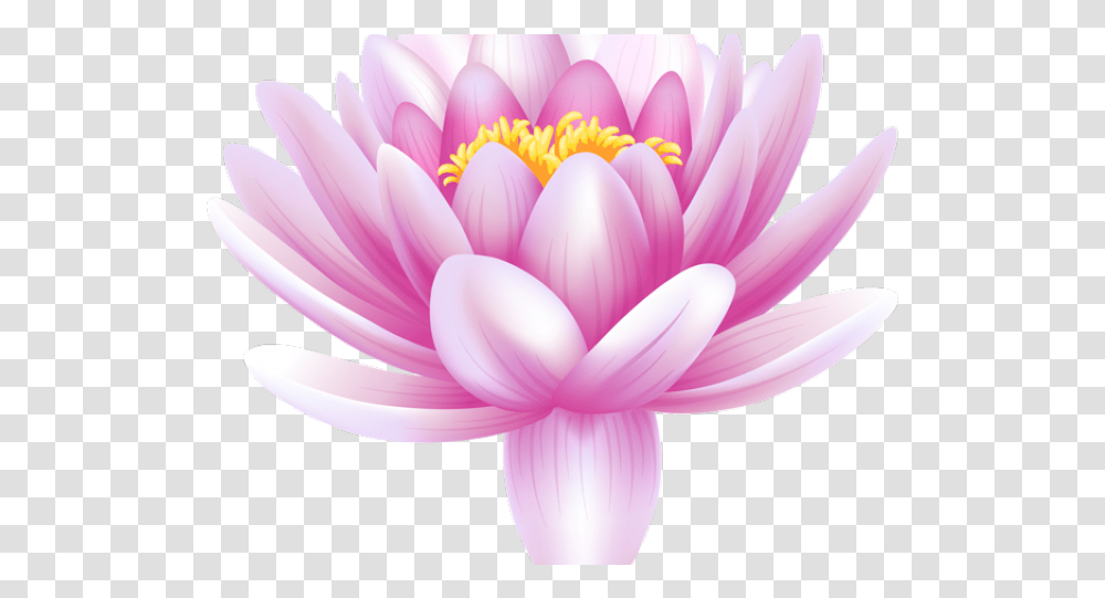 Lilly Pad Clipart Wallpaper Blink Draw Flowers Lotus Good Morning Cards In Hindi, Plant, Lily, Blossom, Pond Lily Transparent Png