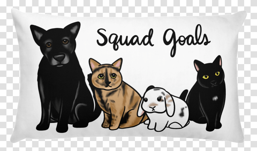 Lilo Nala Melody Licorice Square Pillow Black Cat, Pet, Animal, Mammal, Text Transparent Png
